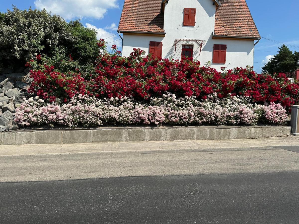 Au Parfum Des Roses Leilighet Gunstett Eksteriør bilde