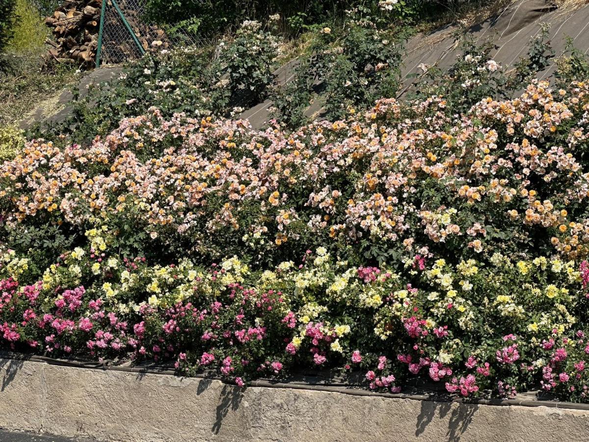 Au Parfum Des Roses Leilighet Gunstett Eksteriør bilde